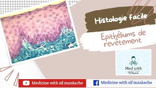 1 Les Epithéliums de Revêtement  Histologie 1ère MED [upl. by Diva]