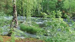 Wassergeräusche Naturgeräusche lindern Stress Gesunder Schlaf ASMR [upl. by Edison621]