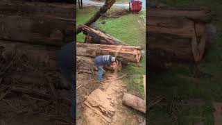 Stihl 500i VS BIG Red Oak Log [upl. by Sirahc494]