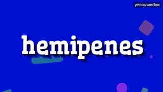 HEMIPENES  HOW TO PRONOUNCE IT [upl. by Heath]