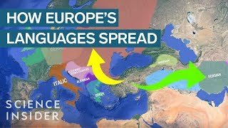 How IndoEuropean Languages Evolved [upl. by Heshum502]