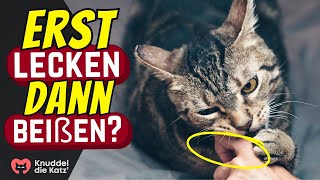 Schlecken dann beißen DESHALB macht deine Katze das [upl. by Amadeus836]