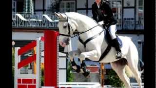 Faszination Springreiten ♥ [upl. by Ecitnerp]