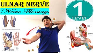 Major Exercise of Ulnar Nerve Flossing GlidingUlnar NeuropathyCervical Radiculopathy  Level 1 [upl. by Remos]