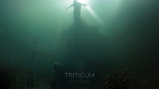 Triticum  The Spell [upl. by Ylil]