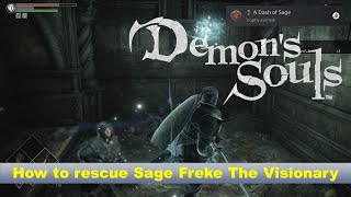 DEMON SOULS  How to rescue Sage Freke The Visionary  A Dash Of Sage TrophyAchievement [upl. by Necyrb]