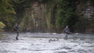 Salmon River fishing Report date 09032024  Check Description fishing salmonrun fishingdaily [upl. by Selemas]