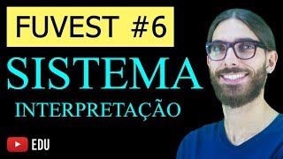 SISTEMA DE EQUAÇÕES  Fuvest  Interpretação de problemas Rafa Jesus [upl. by Dric]