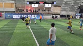 BEST OF LEAGUE  VASSO  PALMİYE FC [upl. by Artimid]