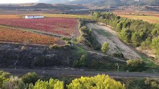 Paisaje otoñal cerca de las Bodegas y Viñedos Tobelos Briñas [upl. by Bing]