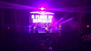 “Telecommunication” A Flock Of Seagulls live at Paramount Theater in Middletown NY 32324 [upl. by Eadmund865]