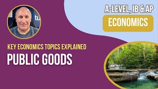 Public Goods Explained for A Level amp IB Economics [upl. by Fasto37]