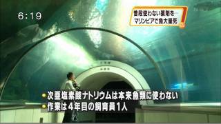 水槽を消毒しようとして塩素を注入し、水族館の魚7000匹大量死 [upl. by Millda]