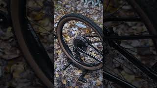 Marin Bobcat Trail 5 bike cycling kolarstwo kolarstwogorskie bikelife mtb mtbbike forestbike [upl. by Donela397]