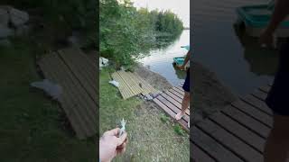 Fishing fishing minnesota fishinglife fisherman fishingtiktoks fishcontent fish mn [upl. by Wende]