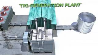 NTCC  National TriGeneration CHP Company profile video ver1 [upl. by Aloke]