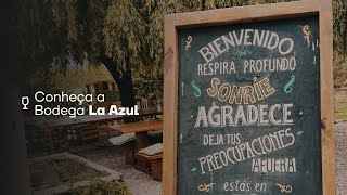 Conheça a Bodega La Azul  Mendoza Argentina [upl. by Sidonie289]