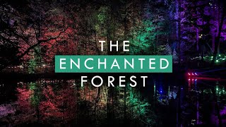 The ENCHANTED FOREST in PITLOCHRY  Scotlands Largest Autumn Event  Walking Tour  4K  60FPS [upl. by Kosel]