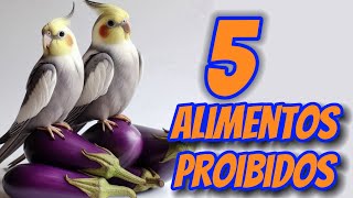 5 ALIMENTOS PROIBIDOS PARA CALOPSITAS [upl. by Yar524]