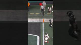 Jets Player DROPS BALL AT THE 1 Texans ball jetsvstexans jets nfl shorts [upl. by Henka]