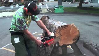 The chainsaw guy log testing Echo CS 351VL Chainsaw 7 19 [upl. by Riane]