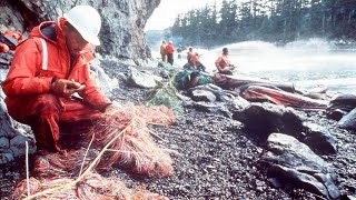 The Exxon Valdez oil spill 30 years later [upl. by Nivrac827]