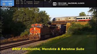 Galesburg Peck Park Live Railcam  Galesburg IL SteelHighway [upl. by Elbon42]