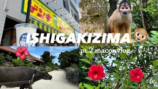 【石垣旅行vlog】9月石垣島vlog🌺 part2🤍フサキビーチリゾートホテル  ゲンキショップ  やいま村  リスザル 竹富島  水牛 [upl. by Adnirb]