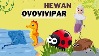 HEWAN OVOVIVIPAR  Contoh Hewan Ovovivipar di Sekitar Kita ❗️💫 [upl. by Neerroc]