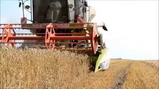 Claas Avero 240 [upl. by Servais]