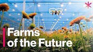 The Futuristic Farms That Will Feed the World  Freethink  Future of Food [upl. by Zalea85]