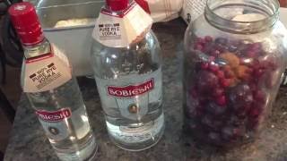 Homemade plum brandy slivovitz vodka cranberry [upl. by Royden]