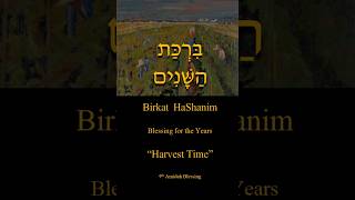 Food 9th Amidah Blessing  Birkat HaShanim  ברכת השנים [upl. by Leor]