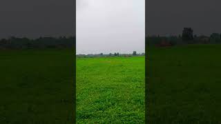 Mausam ke Azad Parindey🌿🕊🦋🌺Natural beauty shortvideo youtube viral [upl. by Llenart]