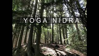 Yoga Nidra  Tiefenentspannung  alle Stufen Deutsch [upl. by Germain]