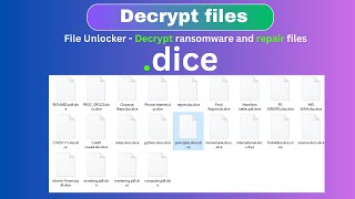 The Ultimate Guide to Decrypting Ransomware and Data  dice decrypt recovery [upl. by Dhar]