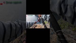 Landed babon baronang di spot maorijogjarockfishing mancingviral fishingvideo rockfishing [upl. by Nitz]