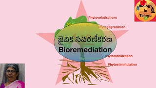 జైవికసవరణీకరణ  Bioremediation [upl. by Judenberg]