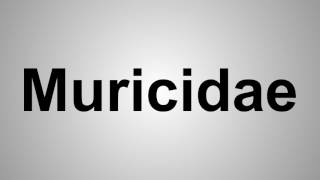 How To Pronounce Muricidae [upl. by Hayse]