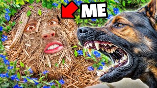 I Used Camouflage to Escape a Police K9 – Will It Work [upl. by Oatis160]