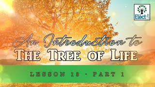 The Tree of Life Lesson 13 Part 1 Malkhut  Our Physical World [upl. by Euginom890]