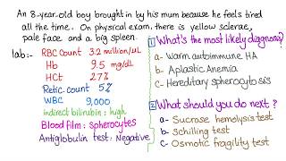 Case Why do I have spherocytes in my blood [upl. by Esilrahc970]