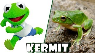 Muppet Babies Characters In Real Life [upl. by Landbert]