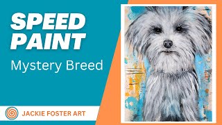 Lhasa Apso Shih Tzu or Havanese  Speed Painting [upl. by Isyed]