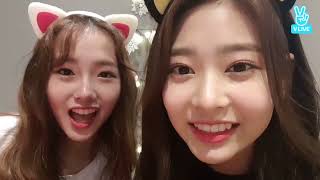 Kriesha Chu VLive 12082017 [upl. by Marta471]