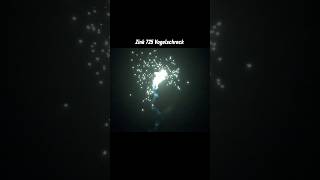 Zink 725 Vogelschreck 💥 Single Shot 🎆 [upl. by Ogu791]