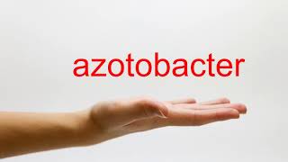 How to Pronounce azotobacter  American English [upl. by Ydnar]