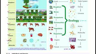 PMF IAS  Ecology and Environment  Chapter2  Part  11   True IAS amp PCS [upl. by Odnolor]