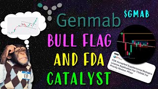 Genmab Stock GMAB Bull Flag and FDA Catalyst [upl. by Boeschen]