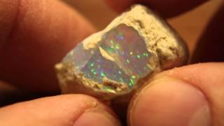 34ct Brilliant 55 ConfettiPinfire Pattern Welo Ethiopia Opal Rough Speicmen [upl. by Neerhtak]